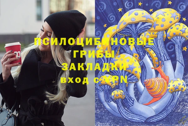 эйфоретик Аркадак