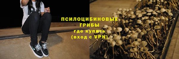 эйфоретик Аркадак