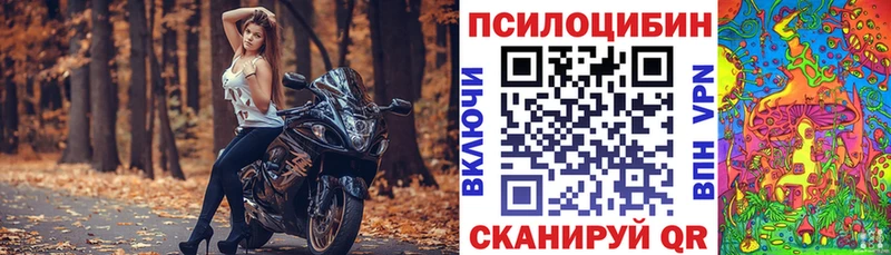 mega   Изобильный  Псилоцибиновые грибы мухоморы 