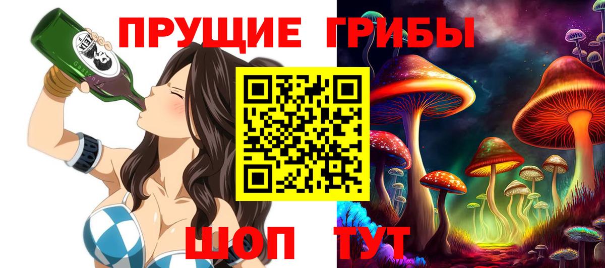 Псилоцибиновые грибы GOLDEN TEACHER  Галлюциногенные грибы прущие грибы  Изобильный  Вход с VPN 